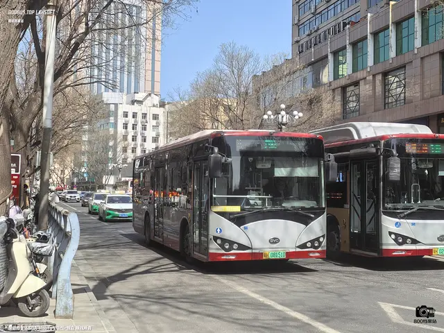 冀H 08151D