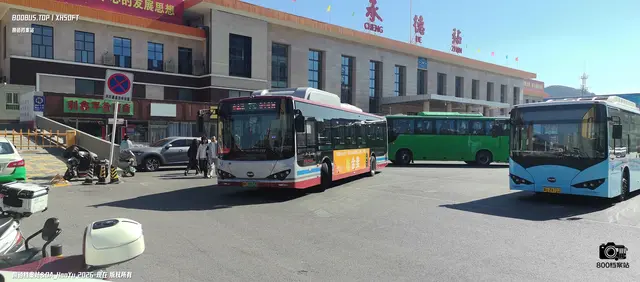 800BUS