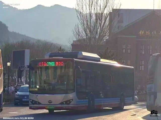 800BUS
