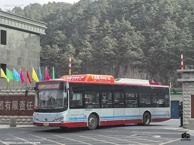 800BUS