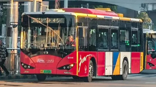 800BUS