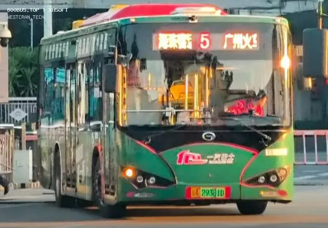 800BUS