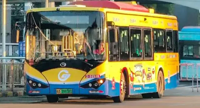 800BUS