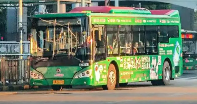 800BUS