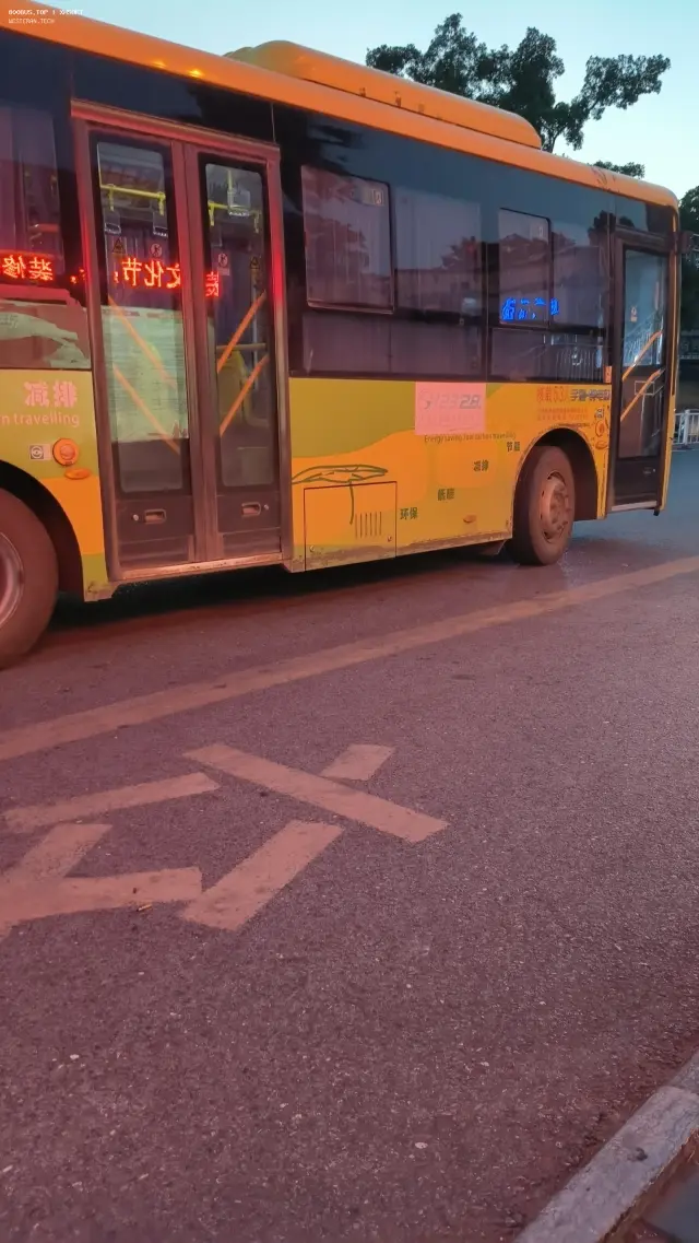 800BUS