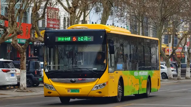 800BUS