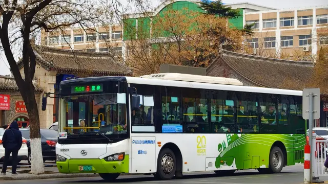 800BUS
