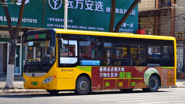 800BUS