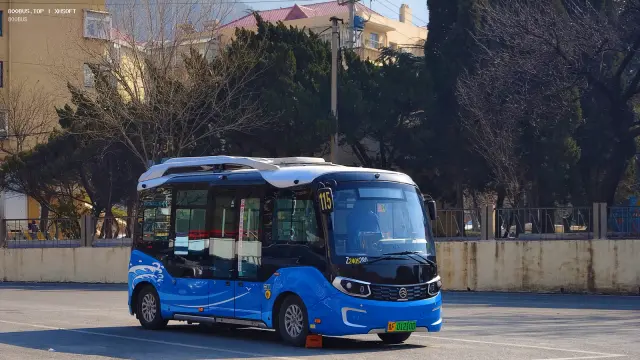 800BUS