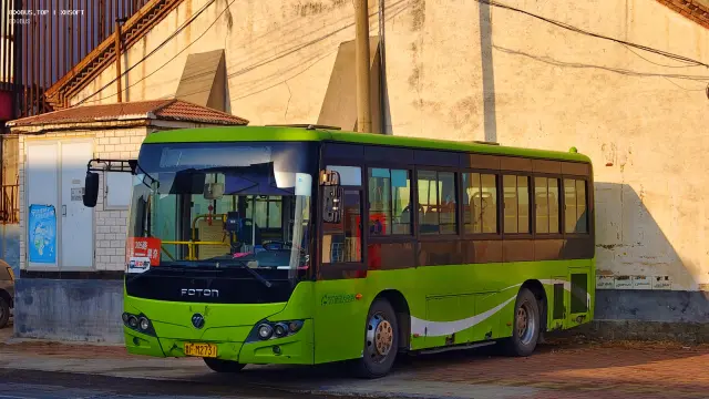 800BUS