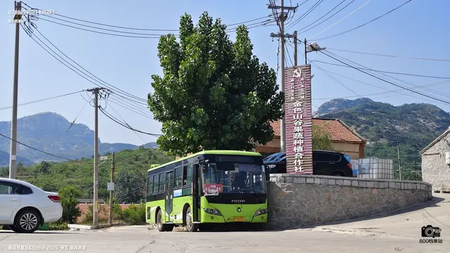 800BUS