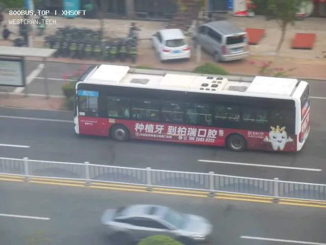 800BUS