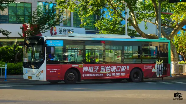 800BUS