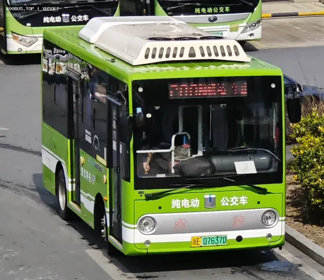 800BUS
