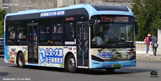 800BUS