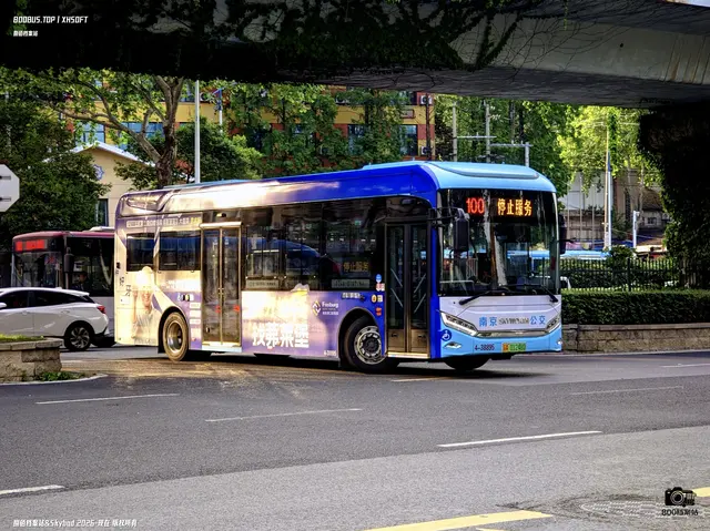 800BUS