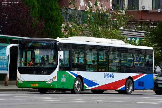 800BUS