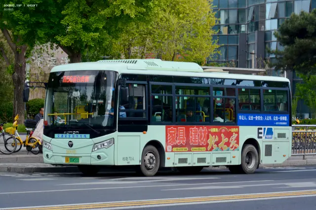 800BUS