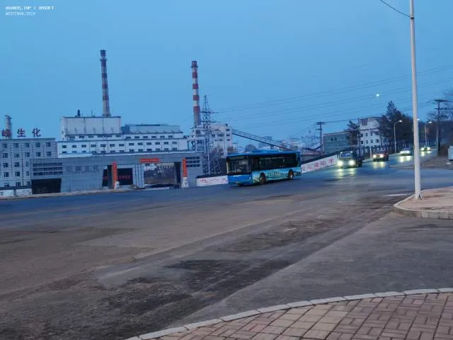 800BUS