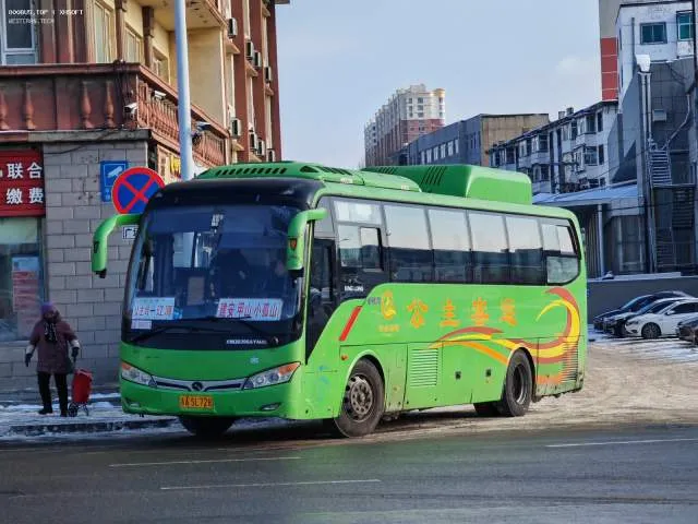 800BUS