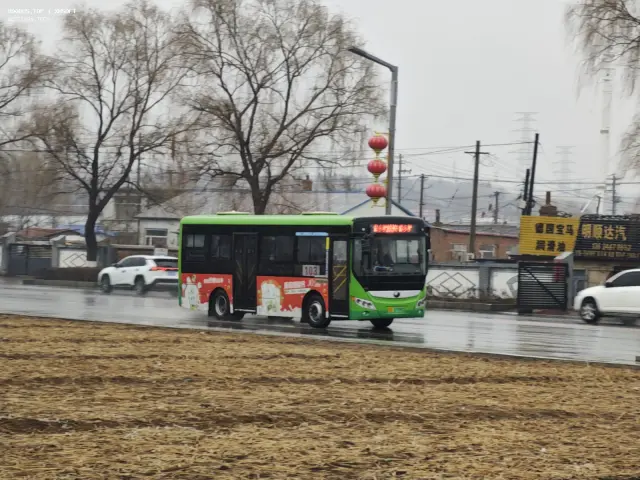 800BUS