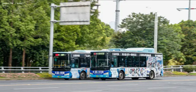 800BUS