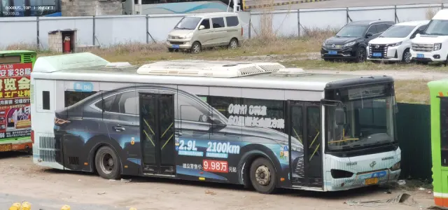 800BUS
