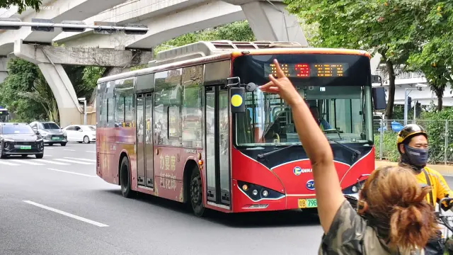 800BUS