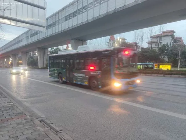 800BUS