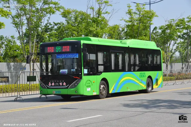 800BUS