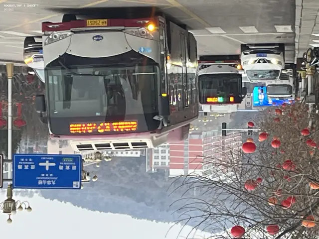 800BUS