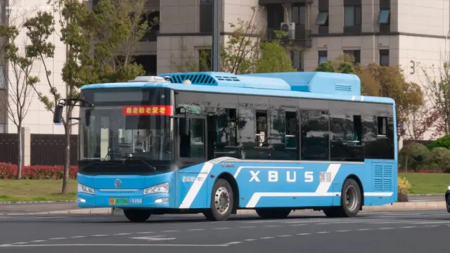 800BUS