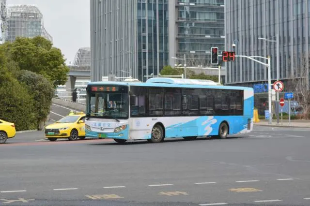 苏A·15310D