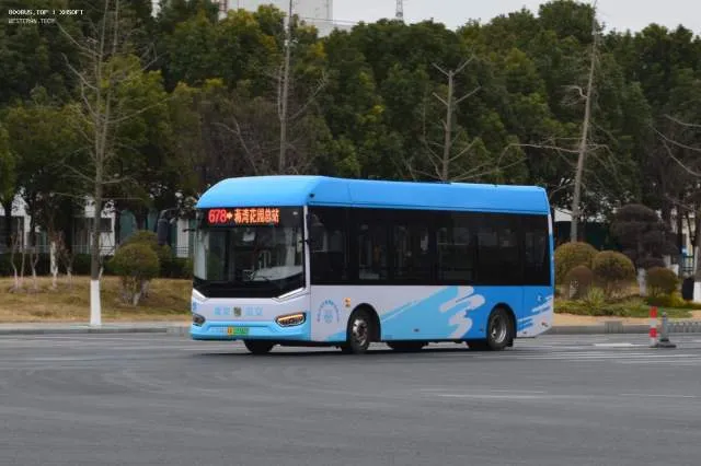 800BUS