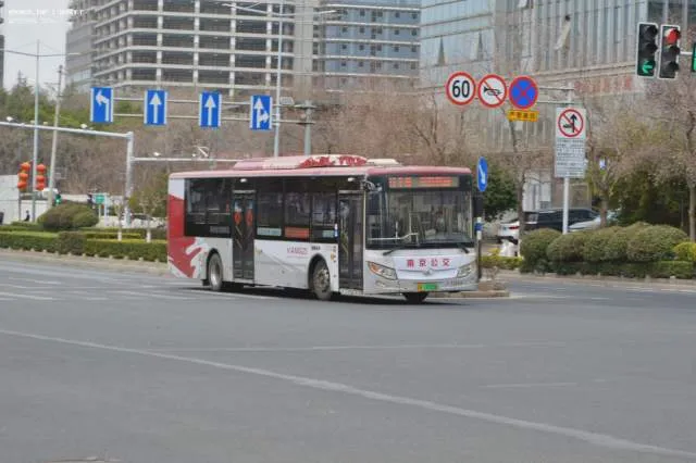 苏A·19333D