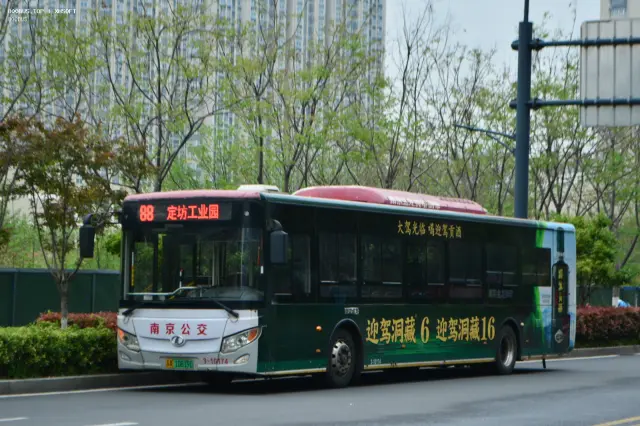 苏A·10819D