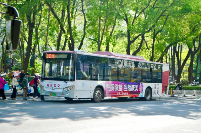 苏A 11137D