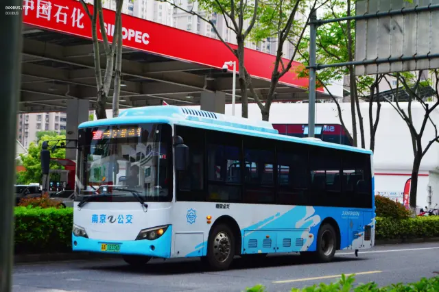 800BUS