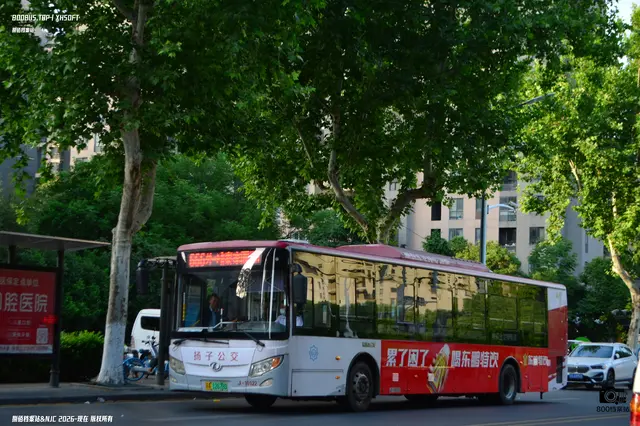 苏A 12678D