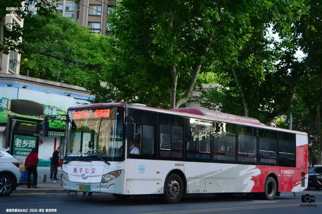 苏A 18309D