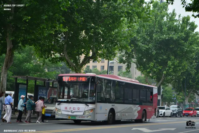 800BUS
