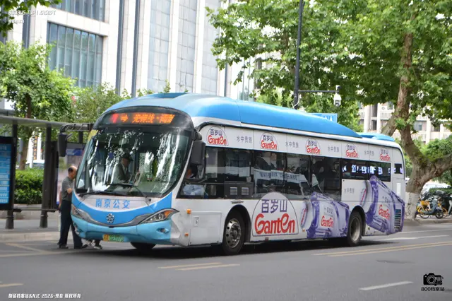 800BUS