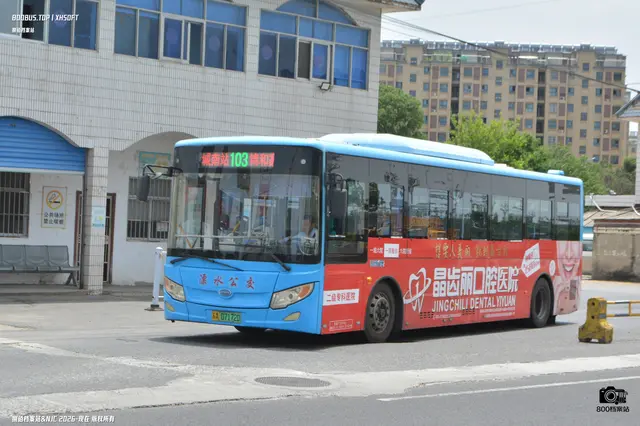 800BUS