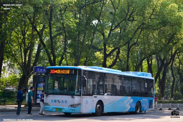 800BUS