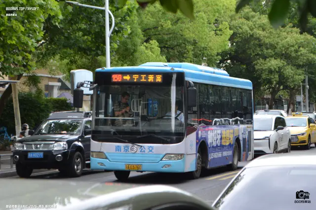 800BUS