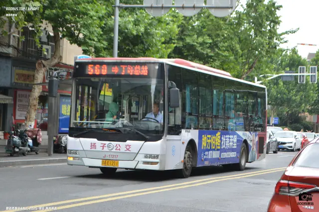 800BUS