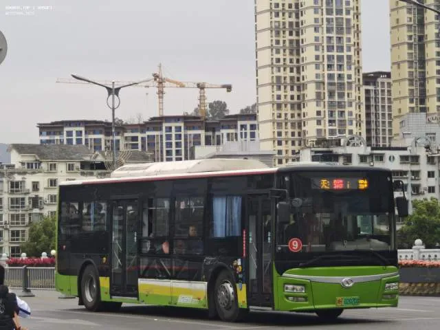 800BUS
