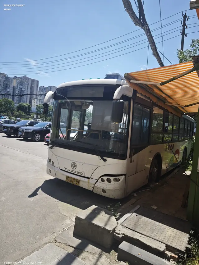 800BUS