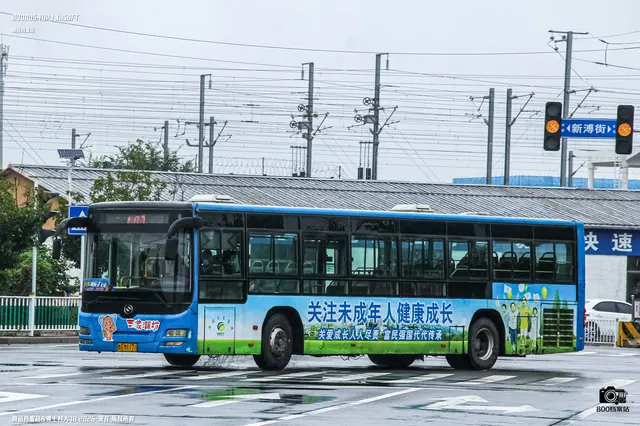 800BUS