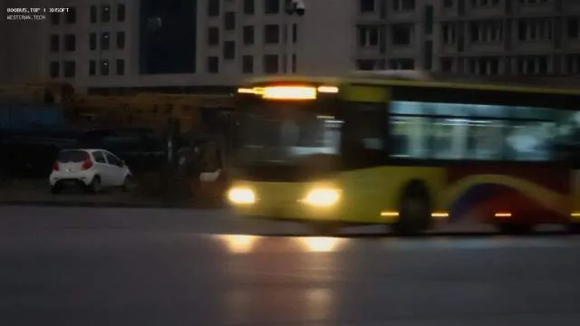 800BUS